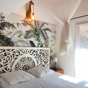 La Rose Des Vents & - Savane , Néoules France
